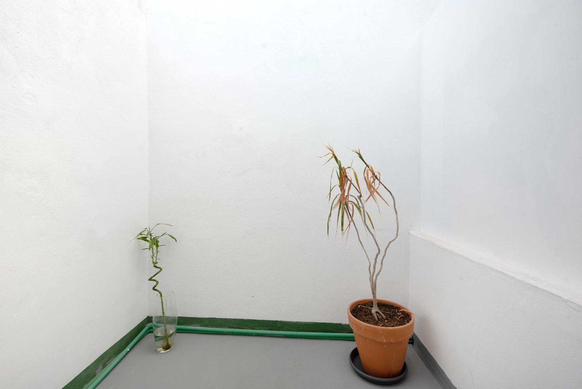 Apartamento Vista La Orotava Zewnętrze zdjęcie